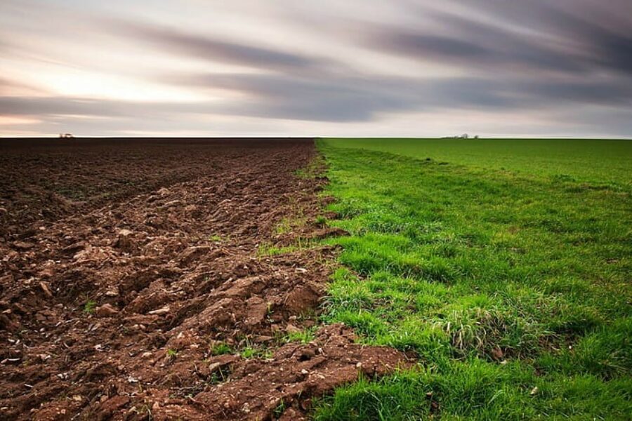 Cultivating Life: Transforming Barren Lands into Organic Farms