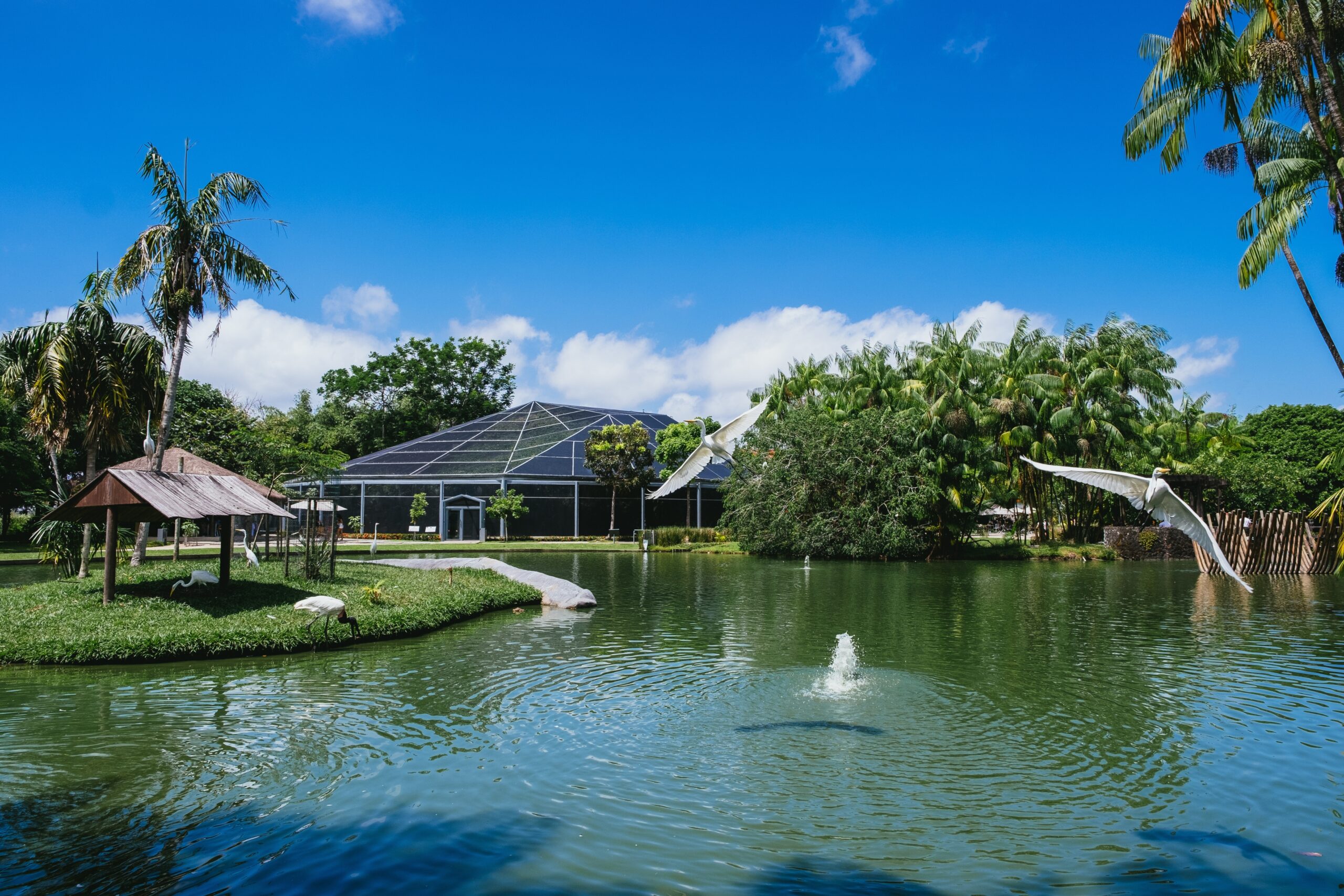 Urban Luxury Meets Eco-Living: Redefining High-End Sustainability