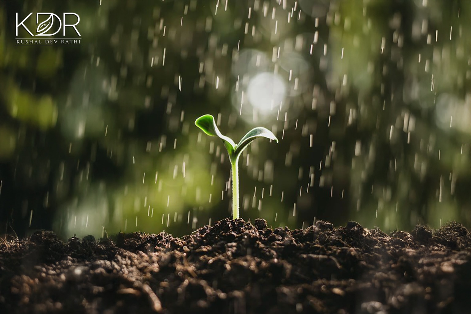 Breathing Easier: How Monsoon Improves Air, Soil, and Soul