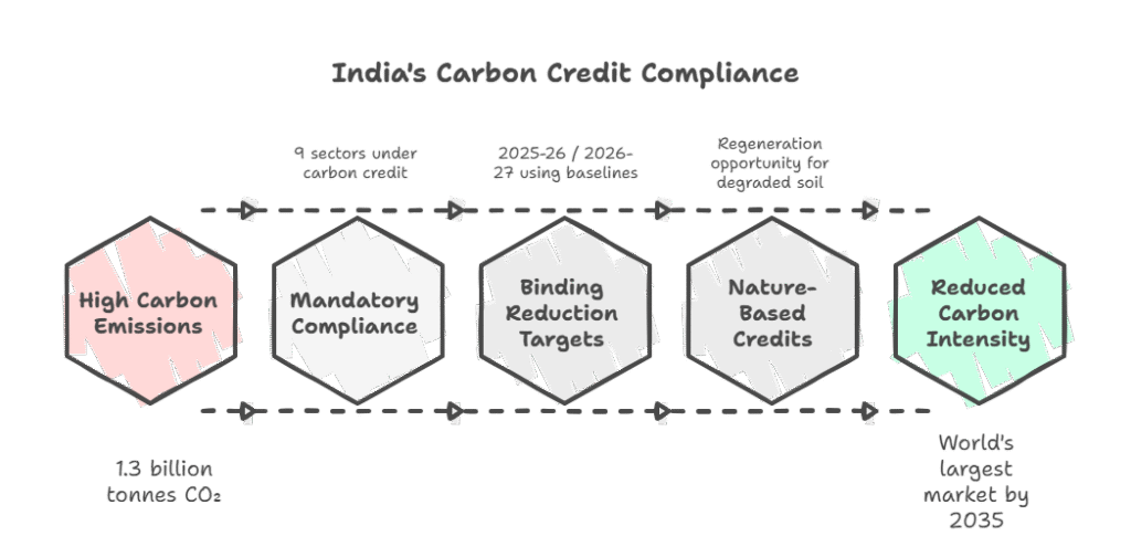 Infographic illustrating the hidden carbon economy in India, featuring major dates, legal milestones, emission targets, market coverage, global carbon pricing data, soil degradation statistics, and future projections for India’s carbon market.