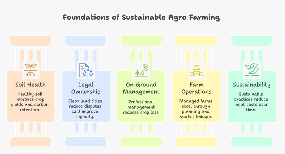 Infographic illustrating the five pillars of agro farming land investment—soil health, legal safety, on-ground security, professional farm services, and sustainability—showing how each pillar contributes to long-term productive agricultural land ownership.